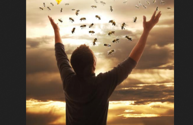 Укрпочта воскресила 8 миллионов пчел, - глава Укрпочты Смелянский