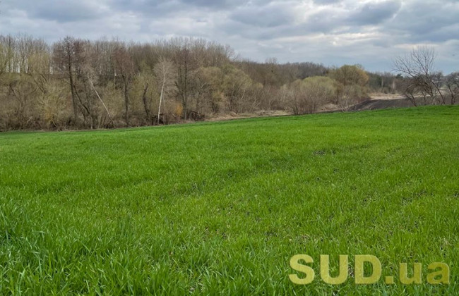 Земельні спори та спори у сфері будівництва: практика Верховного Суду