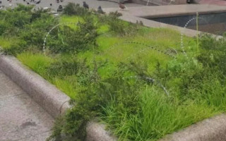 В центре Киева клумбу обнесли колючей проволокой: фото