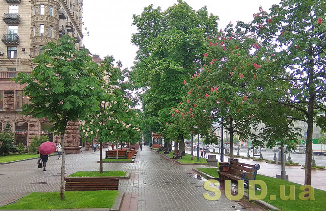 Серьезное похолодание: неделя в Украине начнется ливнями с грозами