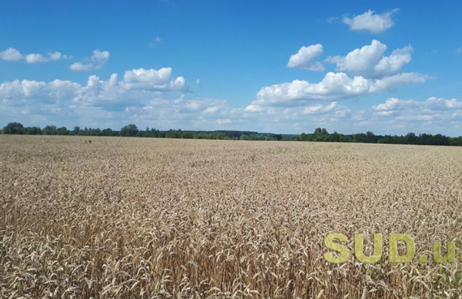 ВС розповів про перехід прав та обов’язків орендодавця до нового власника земельної ділянки