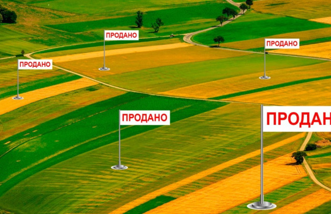 Продаж землі через електронні аукціони: Рада прийняла закон