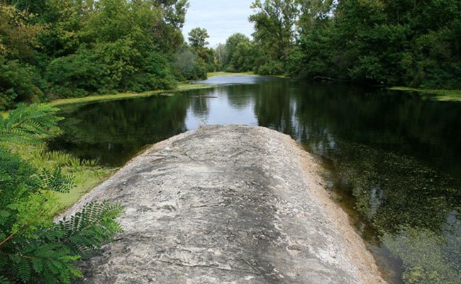 Прокуратура не допустила забудову земель Жукового острову у Києві