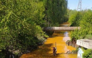 Стало известно, от чего в Киеве пожелтела река Лыбедь