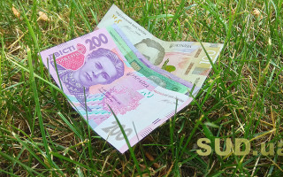 Прокуратура забезпечила повернення державі земельної ділянки вартістю майже 2 млн грн