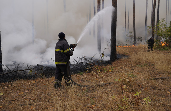 Підробка звітів про гасіння масштабних пожеж на Луганщині: посадовці ДСНС постануть перед судом