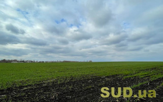 У Києві судитимуть депутата, який незаконно заволодів земельними ділянками