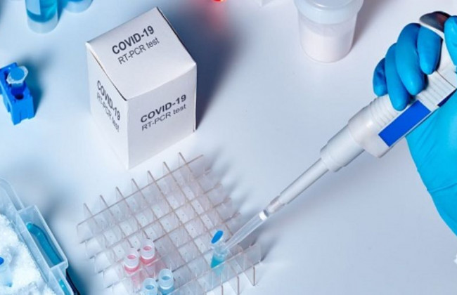 Создана первая действенная терапия от коронавируса