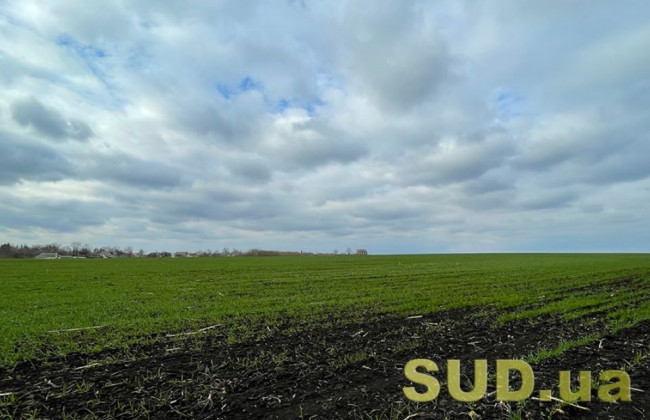 У Києві судитимуть депутата, який незаконно заволодів земельними ділянками