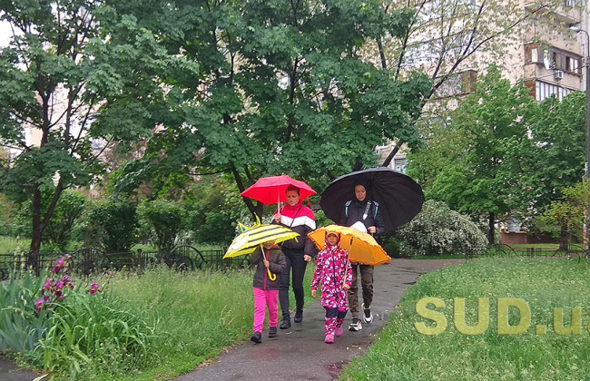 Як змінять розгляд судами справ про усиновлення: Кабмін погодився з ініціативами Марини Лазебної