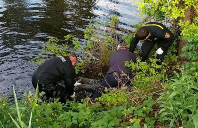 В столичной реке обнаружили тело мужчины