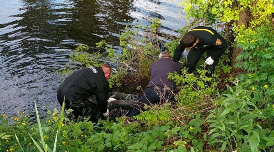 В столичной реке обнаружили тело мужчины