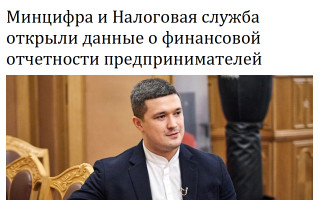 Минцифра и Налоговая служба открыли данные о финансовой отчетности предпринимателей