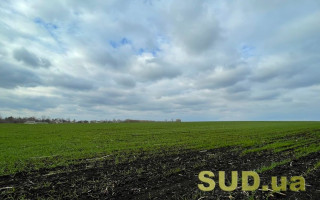 Як зберегти свою землю після запуску ринку землі: поради Мін’юсту