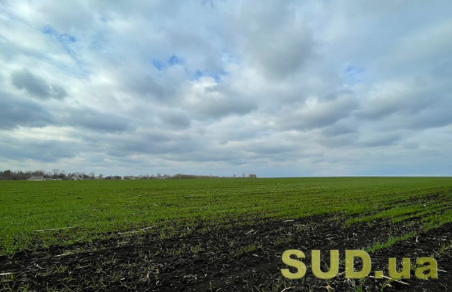 Як зберегти свою землю після запуску ринку землі: поради Мін’юсту