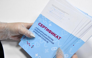 Семь стран Евросоюза начали выдавать сертификаты о вакцинации