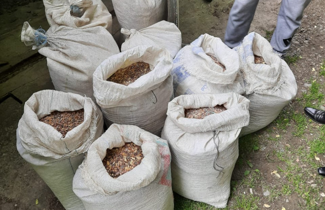 На Рівненщині вилучили майже 500 кг бурштину