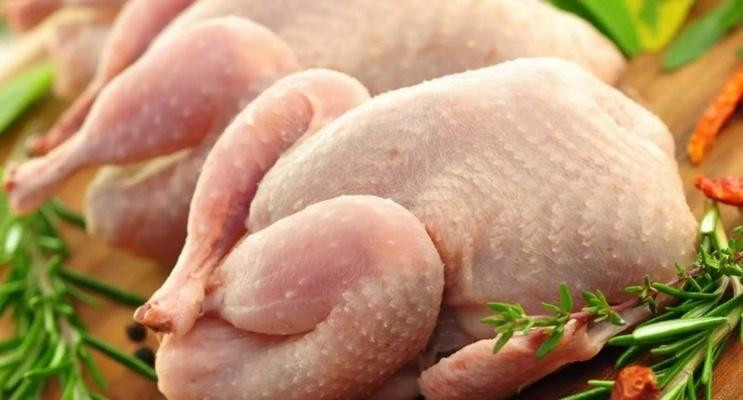 В Украине обнаружили куриное мясо, зараженное сальмонеллой