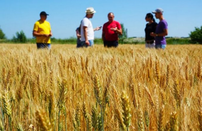 Аграрії зможуть отримати спрощений доступ до програм державної підтримки