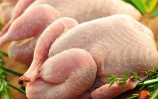 В Украине обнаружили куриное мясо, зараженное сальмонеллой