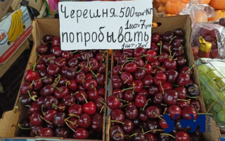 В Одессе начали поштучно продавать первую черешню