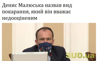Денис Малюська назвав вид покарання, який він вважає недооціненим