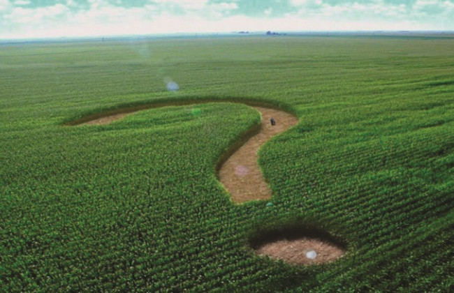 Позитивні та негативні моменти у розвитку земельного законодавства