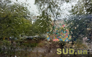 Поваленные деревья и оборванные провода: результаты непогоды в Киеве, фото