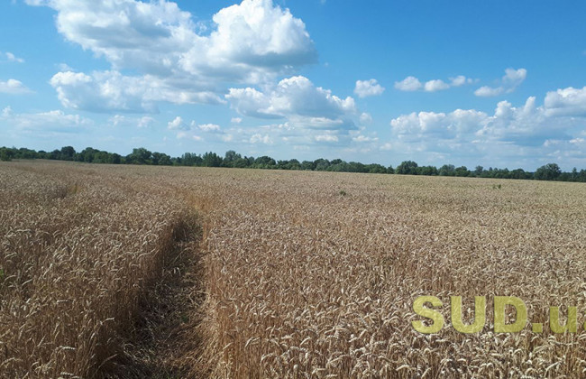 Рада розблокувала підписання закону про продаж землі на електронних торгах