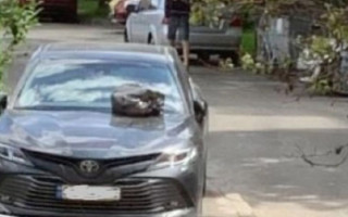 Оставили «подарок»: в Киеве наказали «героя парковки»