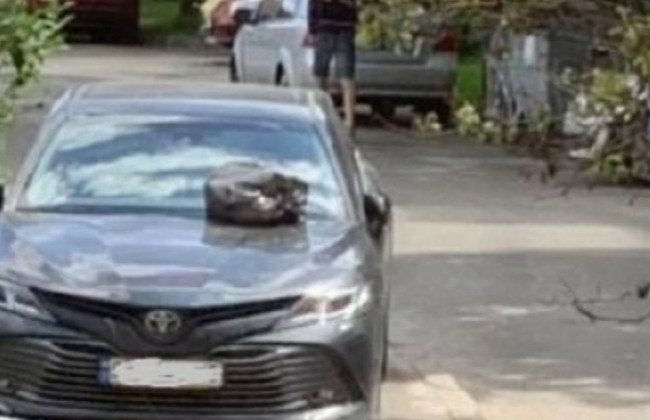 Оставили «подарок»: в Киеве наказали «героя парковки»