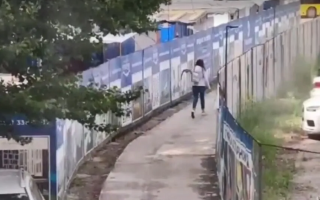 В Киеве произошли новые нападения ворон на прохожих: видео