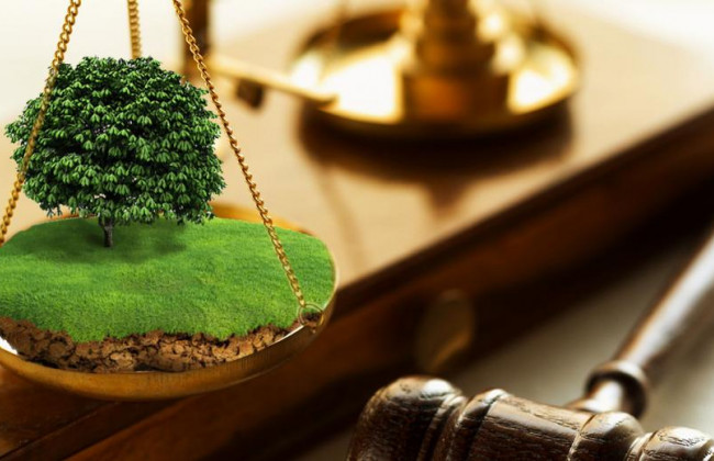 ВС висловися щодо визнання недійсним свідоцтва про право власності на нерухоме майно