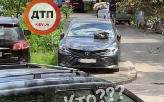 В Киеве наказали очередного «героя парковки»
