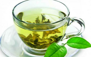 В зеленом чае нашли эффективное против COVID-19 вещество