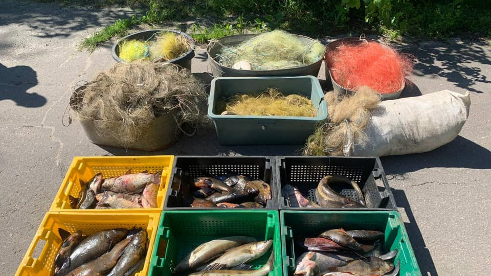 На столичних ринках продавали рибу з Чорнобильської зони
