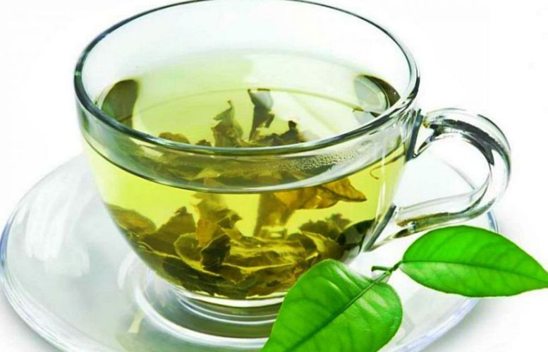 В зеленом чае нашли эффективное против COVID-19 вещество