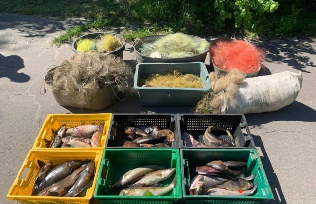 На столичних ринках продавали рибу з Чорнобильської зони