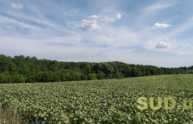 Угоди про перехід права власності на земельні ділянки: що варто знати