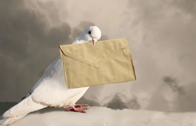 Госорганы будут обязаны завести официальный электронный адрес, а возможность судов уведомлять участников процесса по e-mail закрепят в законе