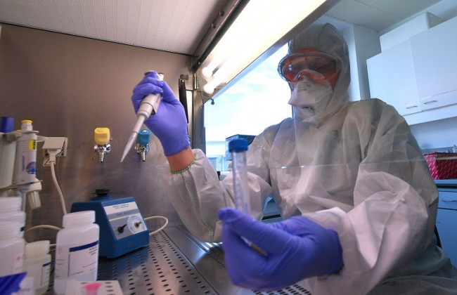 Присвоение опасного штамма вируса: разоблачена экс-сотрудница научного института