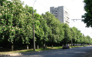 В Харькове обжалуют решение суда о переименовании проспекта Маршала Жукова