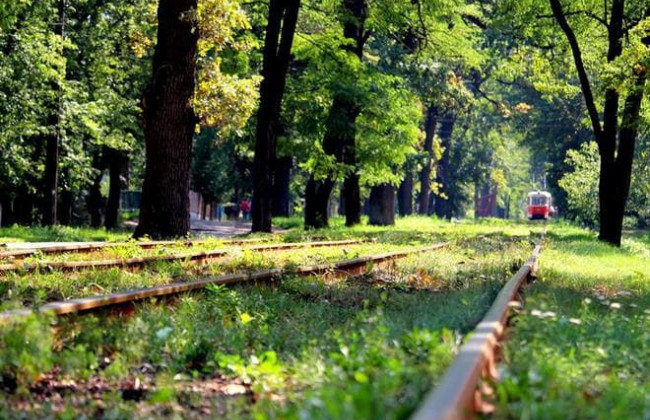 Прокуратура повернула громаді Пуща-Водицького лісництва землі вартістю 105 млн грн