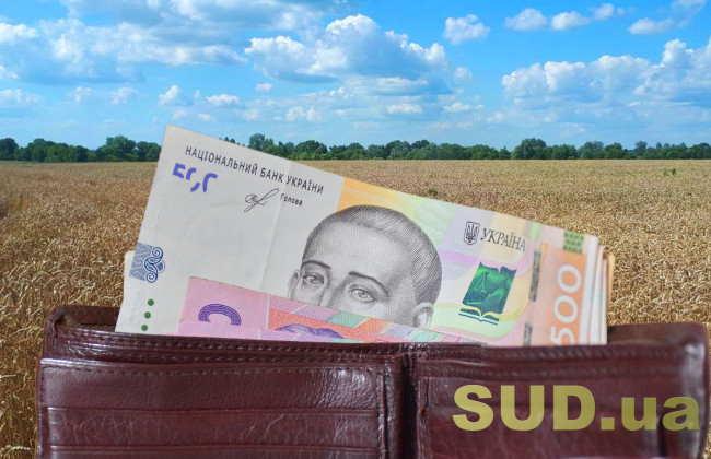 Прокуратура повернула державі землі вартістю понад 34 млн грн на Хмельниччині