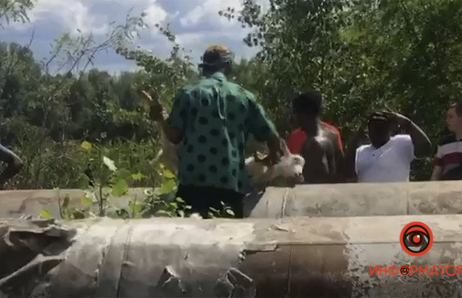 В Днепре иностранцы убивали и сжигали коз на пляже