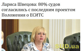 Лариса Швецова: 80% судов согласились с последним проектом Положения о ЕСИТС