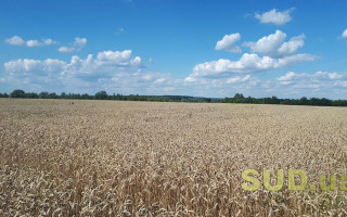 Украина переходит в зону сверхвысоких температур и погодных катаклизмов