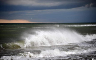 В Одессе после затяжных осадков «зацвело» море, фото