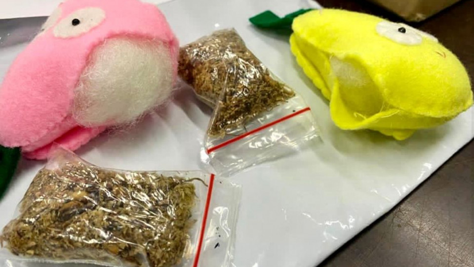 В игрушках для детей обнаружили наркотики: «подарок» шел из Индонезии
