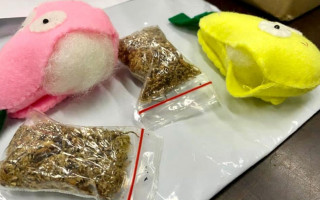 В игрушках для детей обнаружили наркотики: «подарок» шел из Индонезии